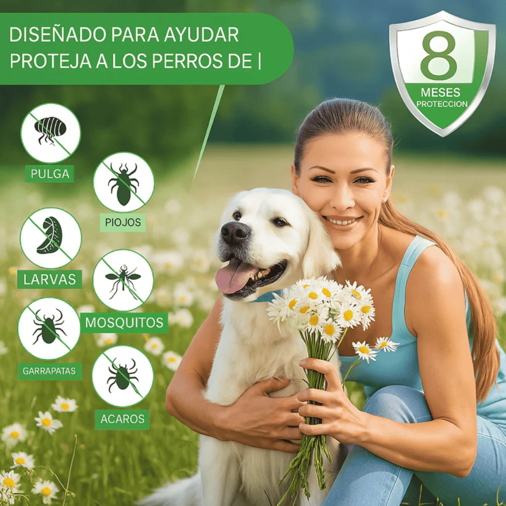 PawGuard® - Collar Anti pulgas y garrapatas mascota