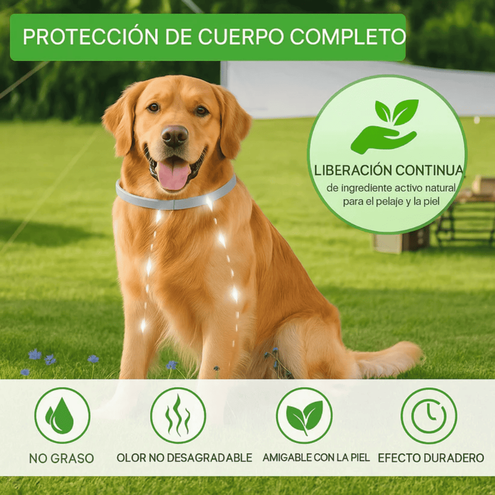 PawGuard® - Collar Anti pulgas y garrapatas mascota