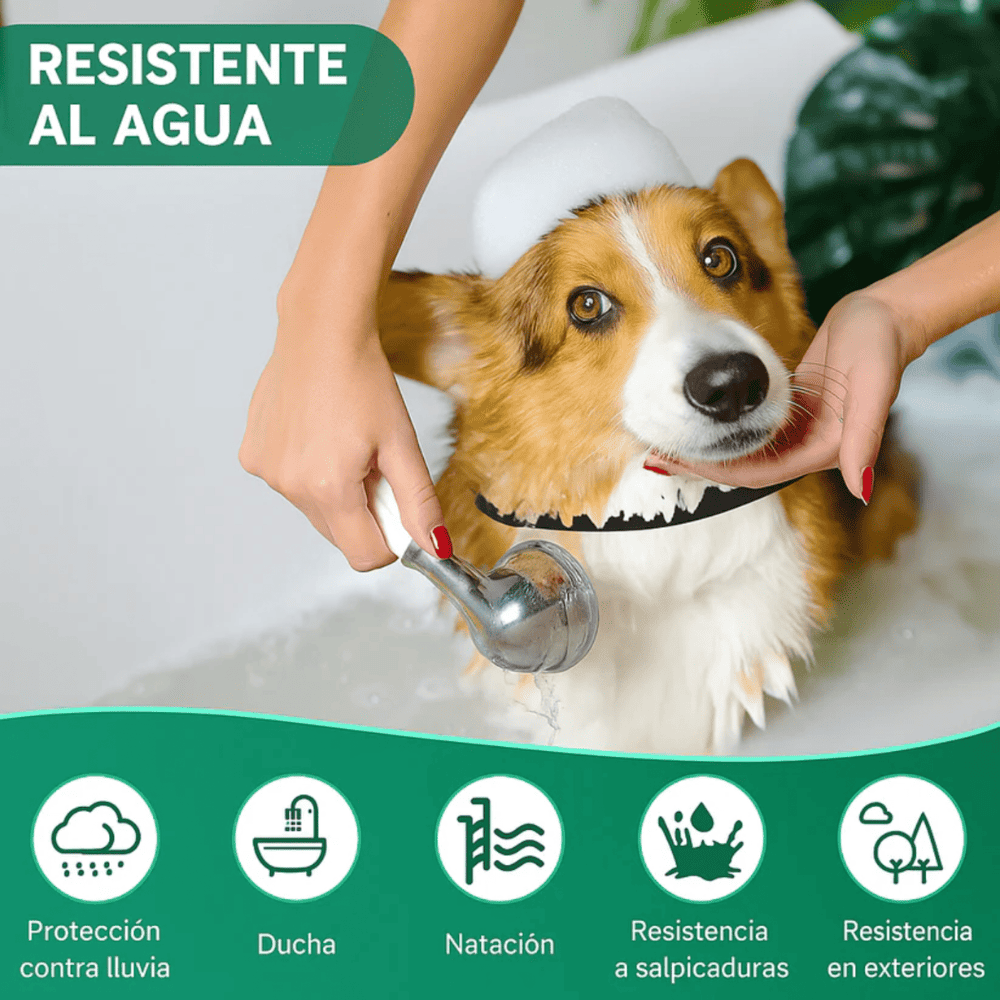 PawGuard® - Collar Anti pulgas y garrapatas mascota