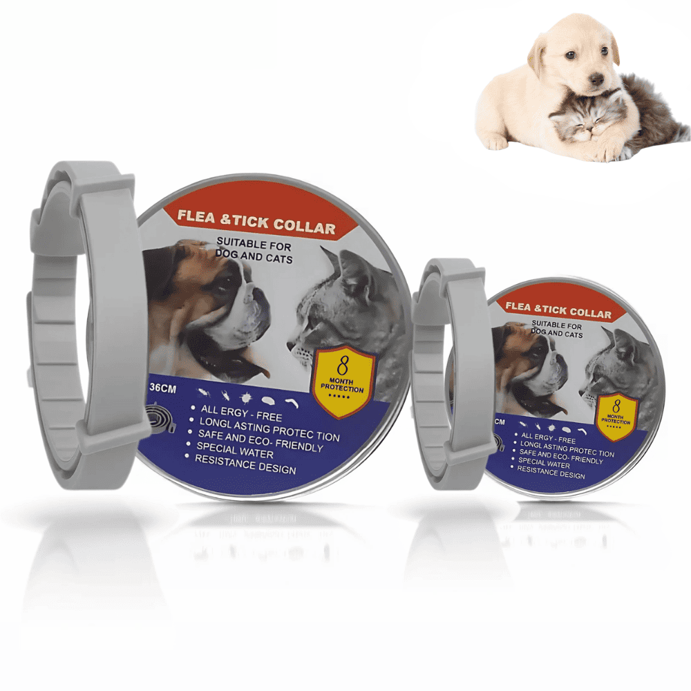 PawGuard® - Collar Anti pulgas y garrapatas mascota
